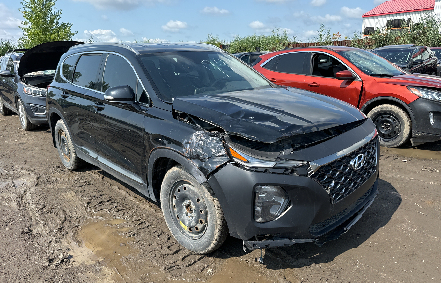 2019 Hyundai Santa Fe Sel vin: 5NMS3CAD9KH046836