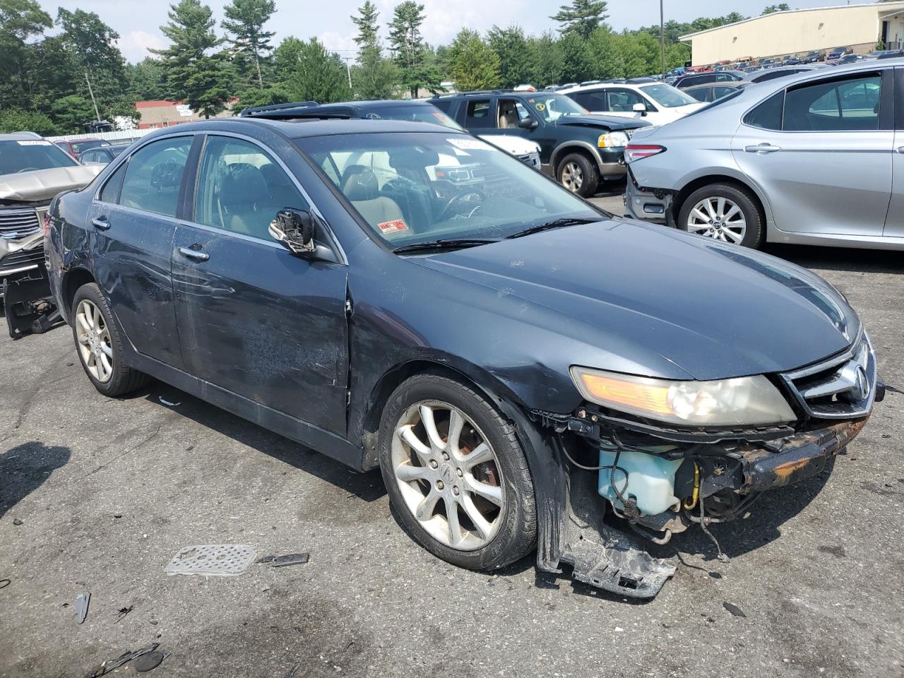 2006 Acura Tsx VIN: JH4CL96856C040263 Lot: 65761744