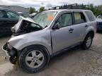 2010 Ford Escape Xlt за продажба в Leroy, NY - Front End