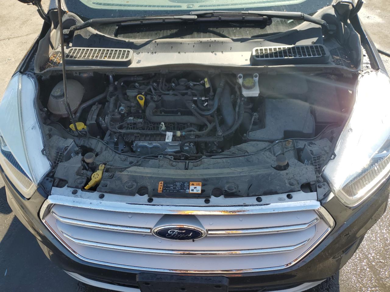 2019 Ford Escape Sel VIN: 1FMCU0HD0KUA83493 Lot: 67785614