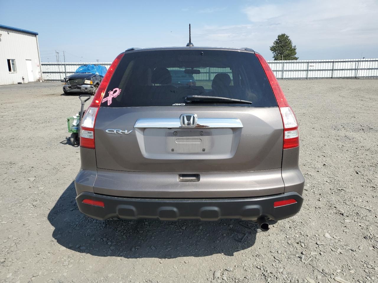 2009 Honda Cr-V Exl VIN: 5J6RE48739L009802 Lot: 67381284