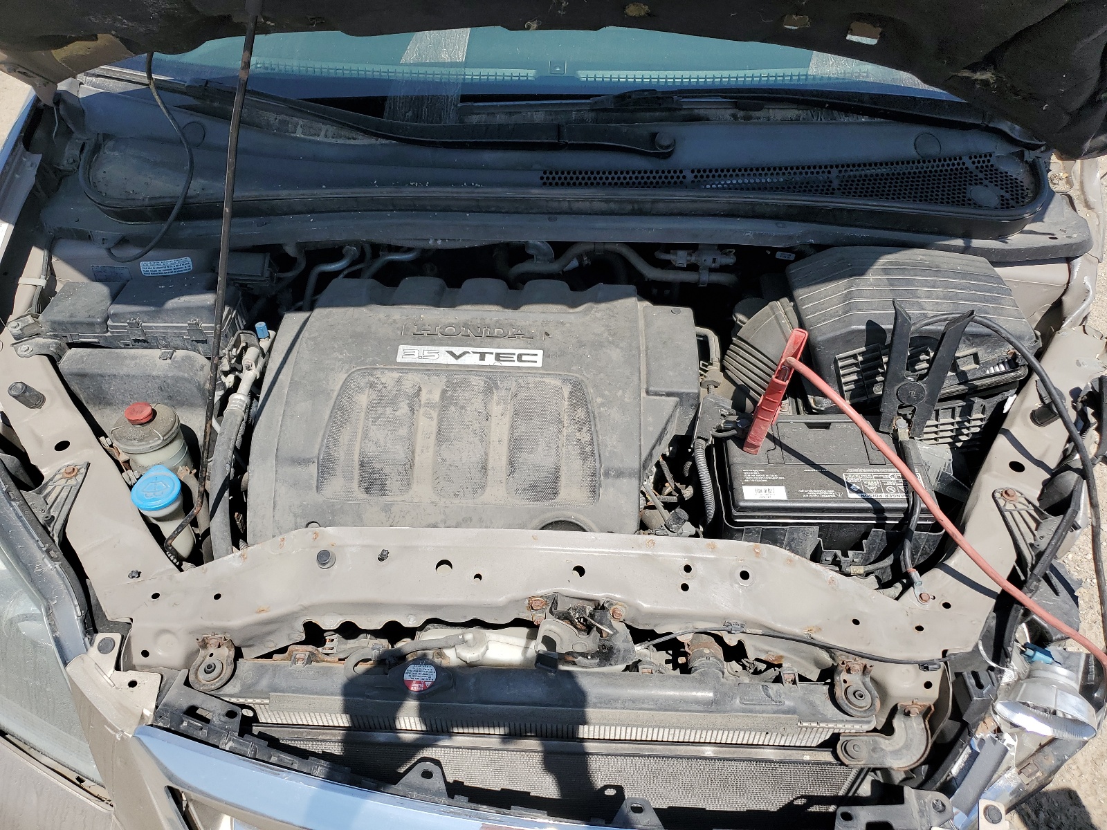 5FNRL38466B455257 2006 Honda Odyssey Ex