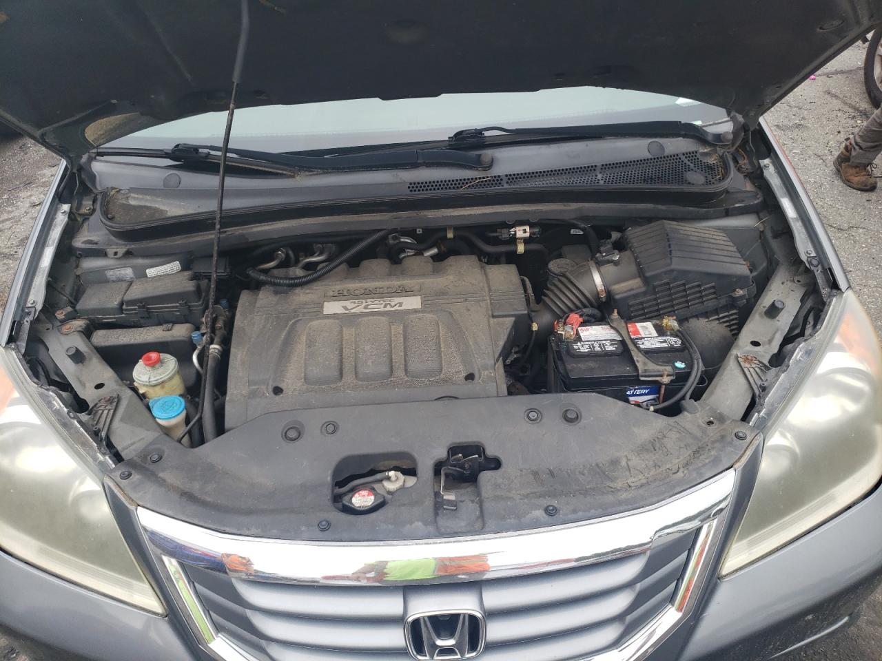 2009 Honda Odyssey Exl VIN: 5FNRL38789B410772 Lot: 66231844