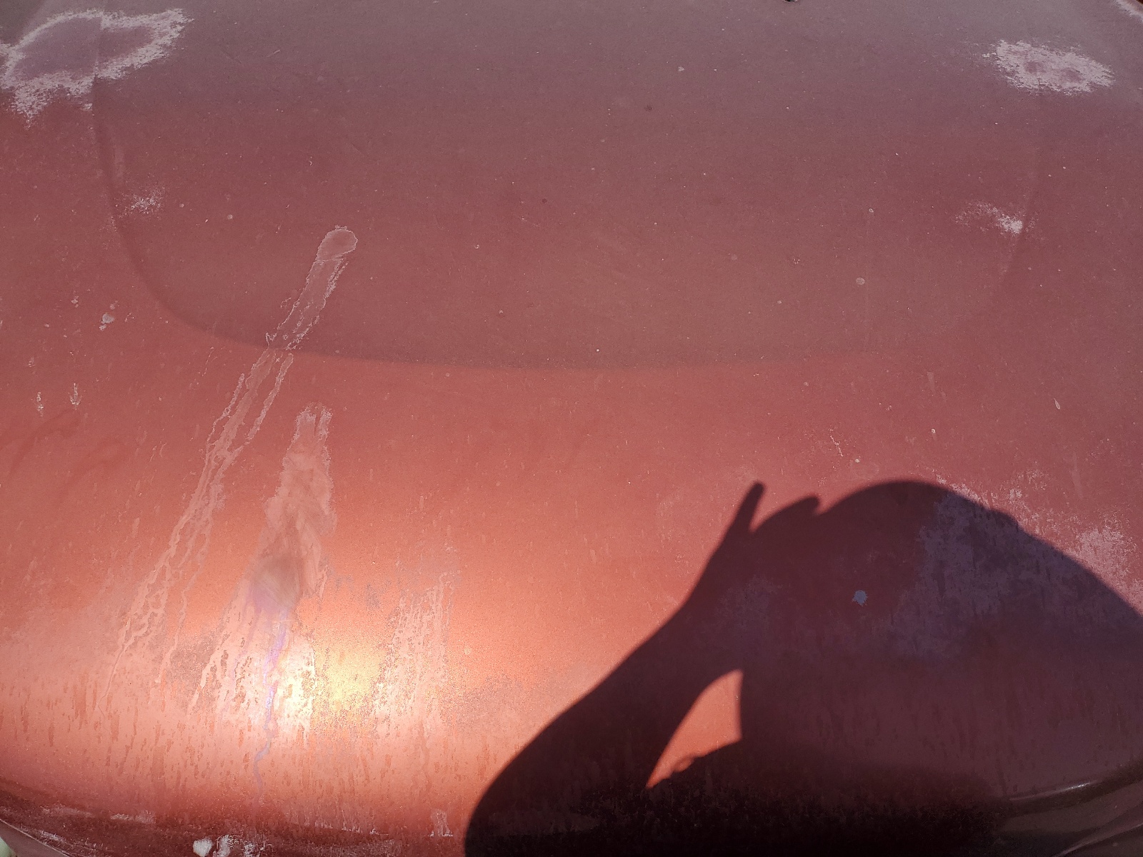 JF1GG68523H805216 2003 Subaru Impreza Outback Sport