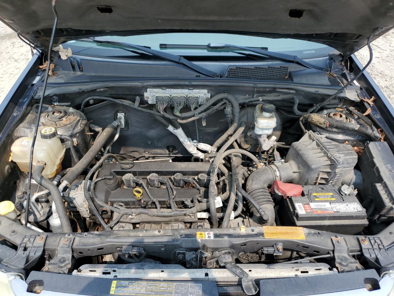 2009 Ford Escape Xlt VIN: 1FMCU937X9KB31139 Lot: 67397294