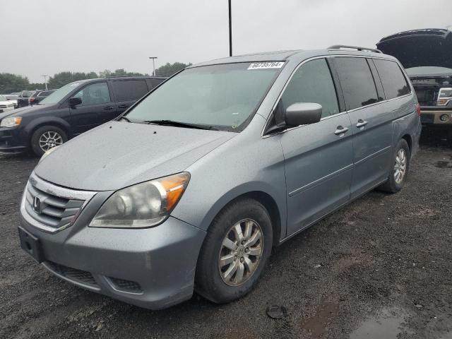 2009 Honda Odyssey Exl للبيع في East Granby، CT - Minor Dent/Scratches