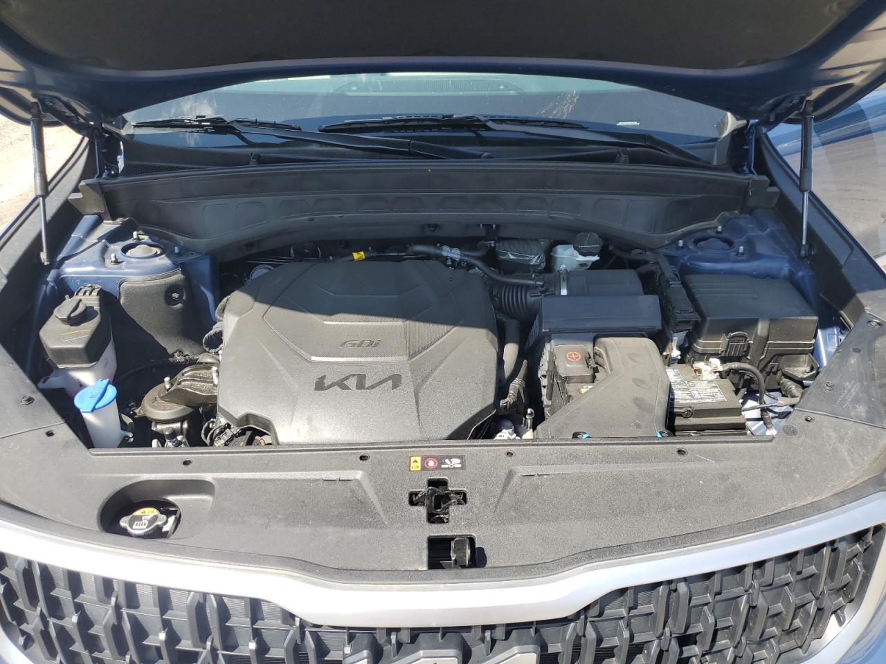 2024 Kia Telluride Ex VIN: 5XYP3DGC9RG497747 Lot: 67343774