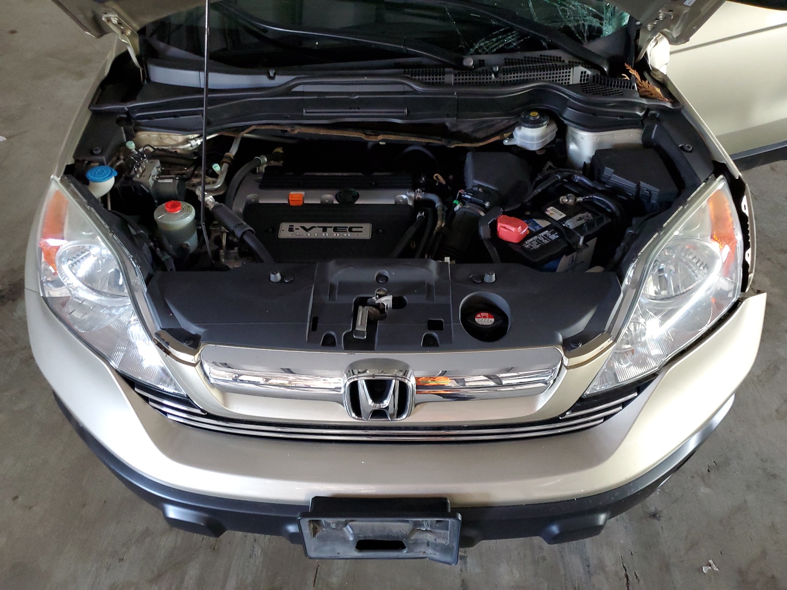 3CZRE48539G704406 2009 Honda Cr-V Ex