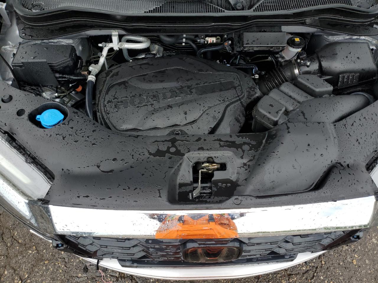 2024 Honda Passport Exl VIN: 5FNYF8H50RB015175 Lot: 67913984