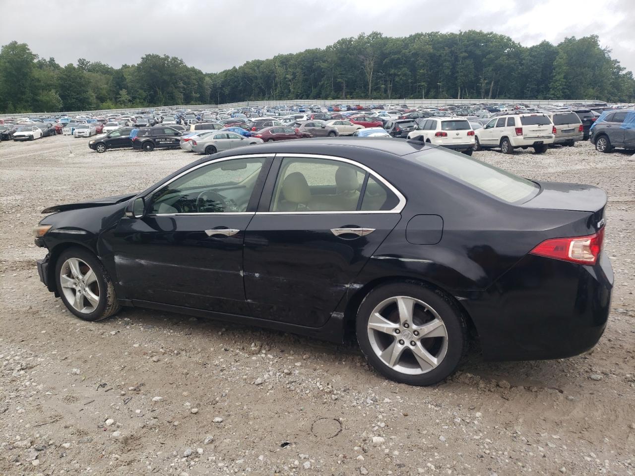 2013 Acura Tsx Tech VIN: JH4CU2F63DC001977 Lot: 64350334