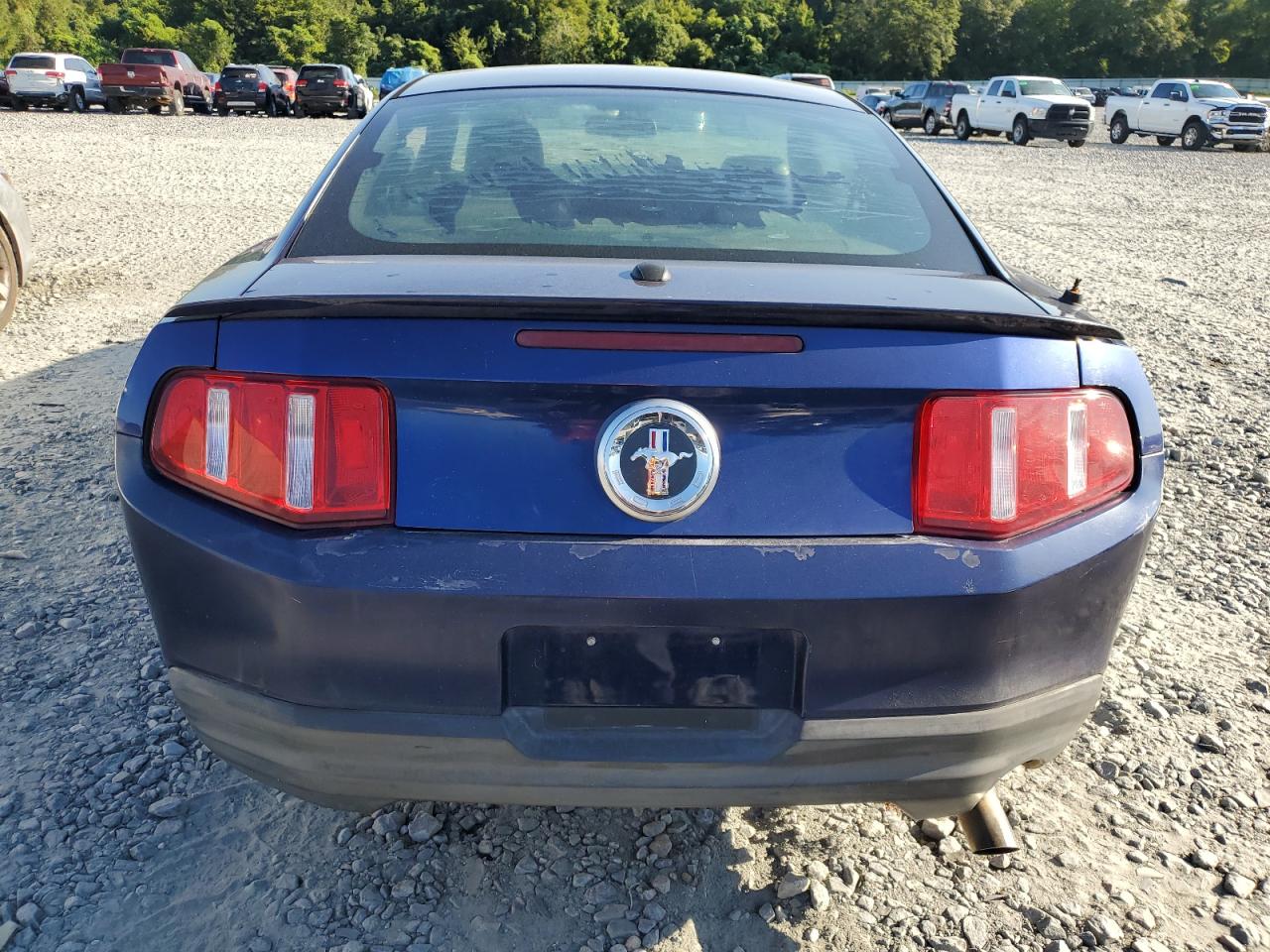 2010 Ford Mustang VIN: 1ZVBP8AN8A5100328 Lot: 68373084