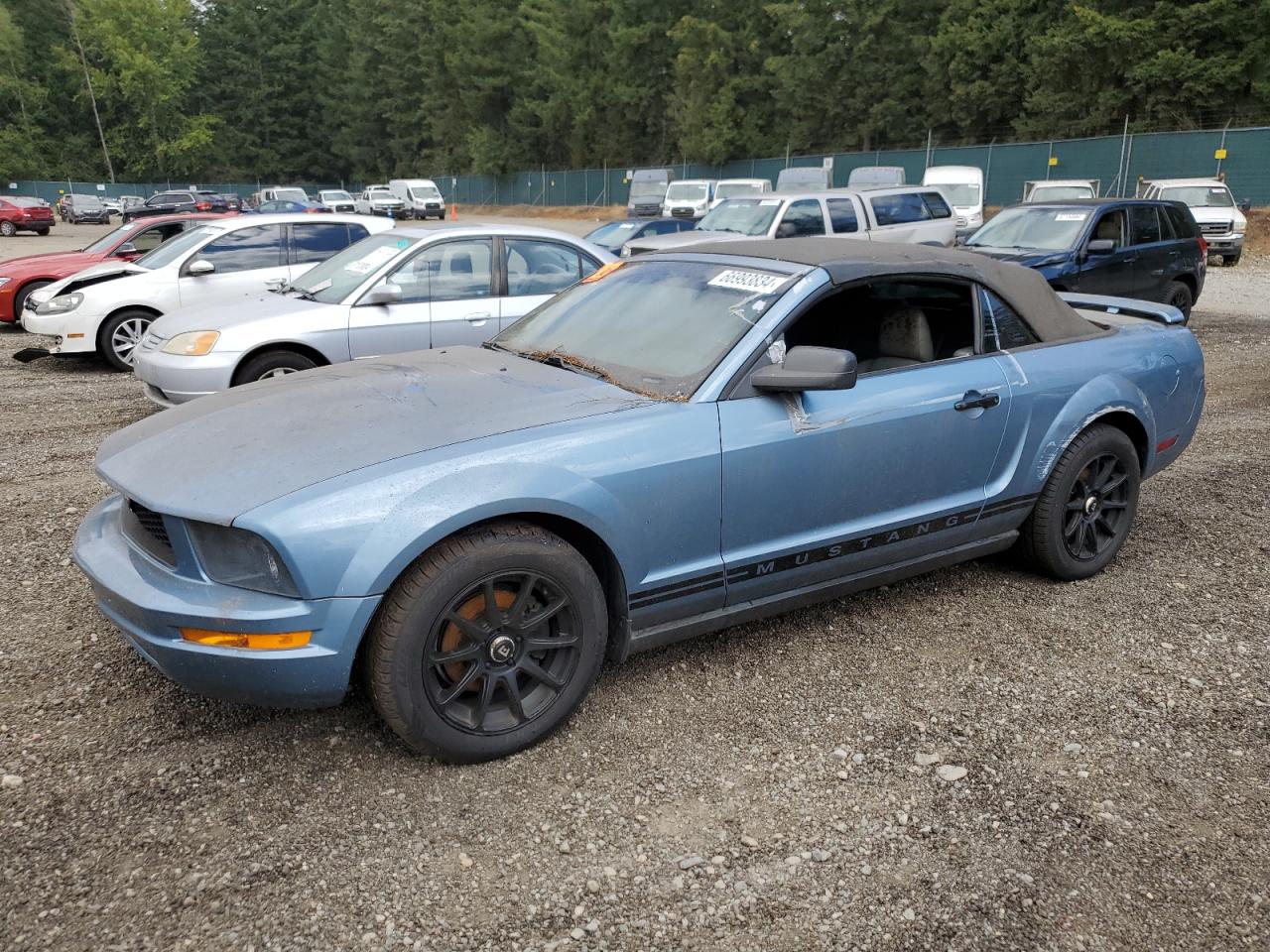 1ZVFT84N255252801 2005 Ford Mustang