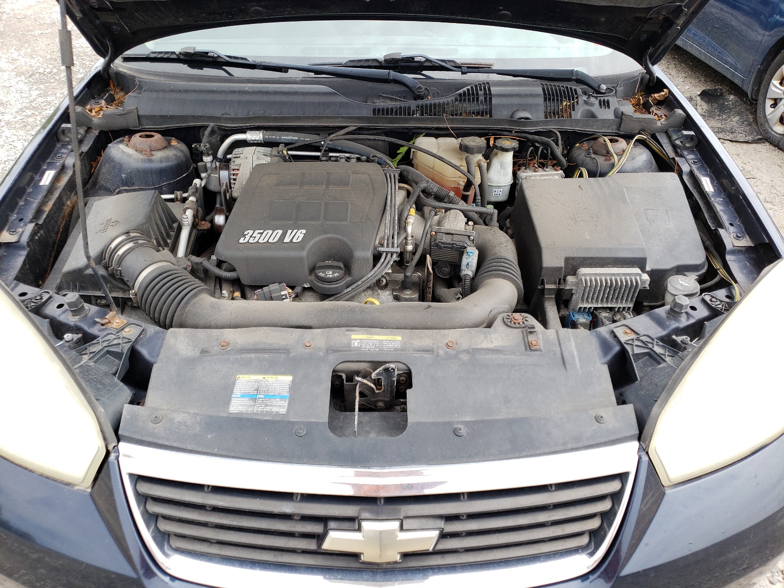 1G1ZT51886F164109 2006 Chevrolet Malibu Lt