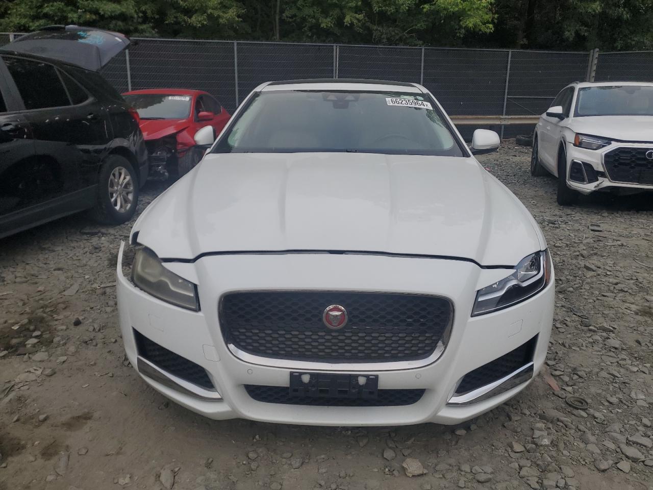 2016 Jaguar Xf Premium VIN: SAJBJ4BV5GCY23670 Lot: 66235964