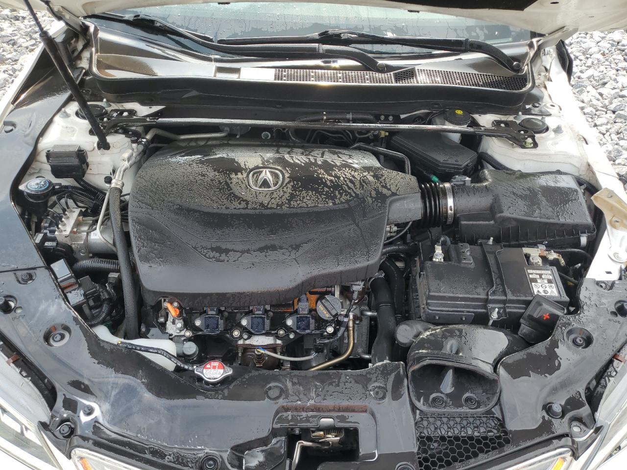 2016 Acura Tlx Tech VIN: 19UUB3F57GA004567 Lot: 64886264