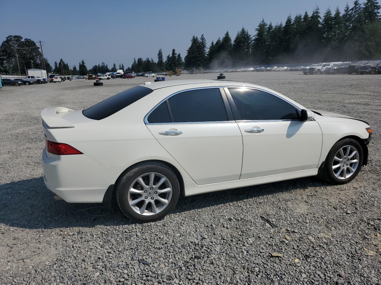 2006 Acura Tsx VIN: JH4CL96976C036501 Lot: 66042464