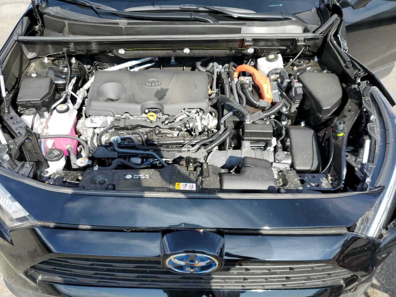 JTMRWRFV1RD213767 2024 Toyota Rav4 Xle