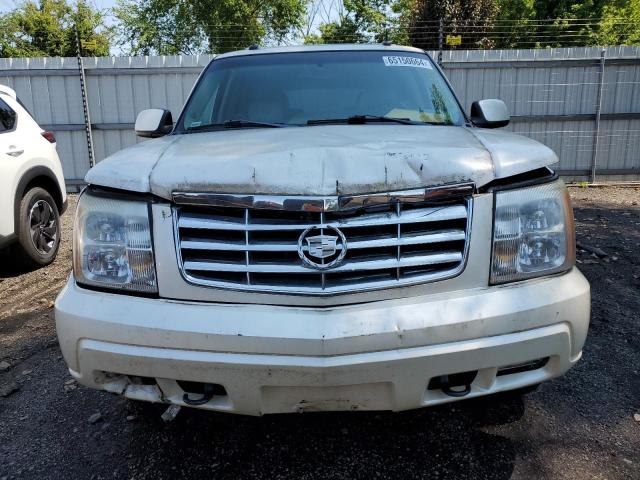 1GYEK63N03R149254 | 2003 Cadillac escalade luxury