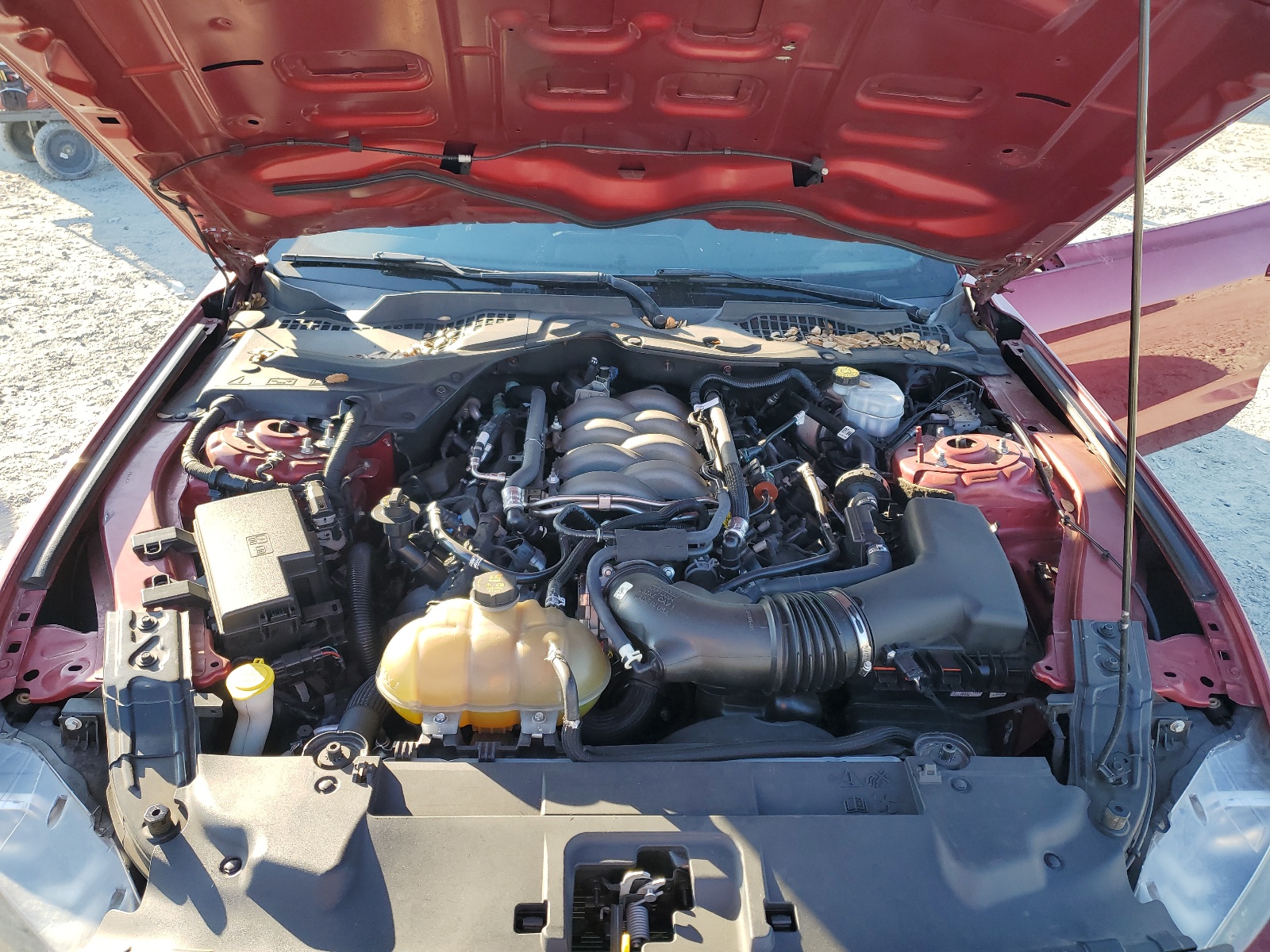 1FA6P8CF2J5176305 2018 Ford Mustang Gt