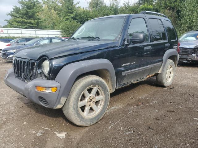 2005 Jeep Liberty Limited for Sale in Davison, MI - Front End