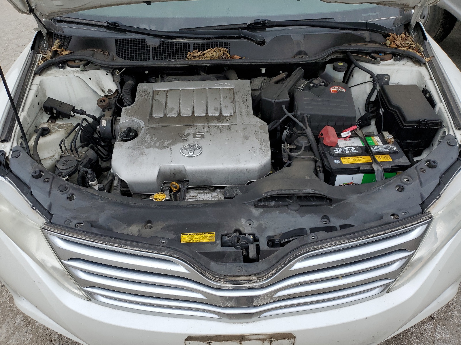 4T3BK3BB4AU044874 2010 Toyota Venza