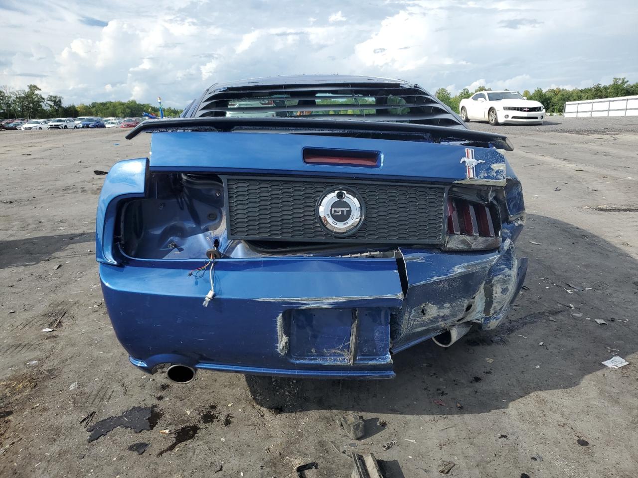 2006 Ford Mustang Gt VIN: 1ZVFT82H865146383 Lot: 66568354