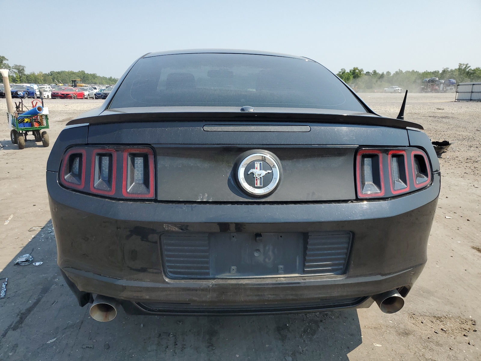 1ZVBP8AM7D5261166 2013 Ford Mustang