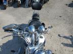 2005 Harley-Davidson Flstni  продається в Riverview, FL - Water/Flood