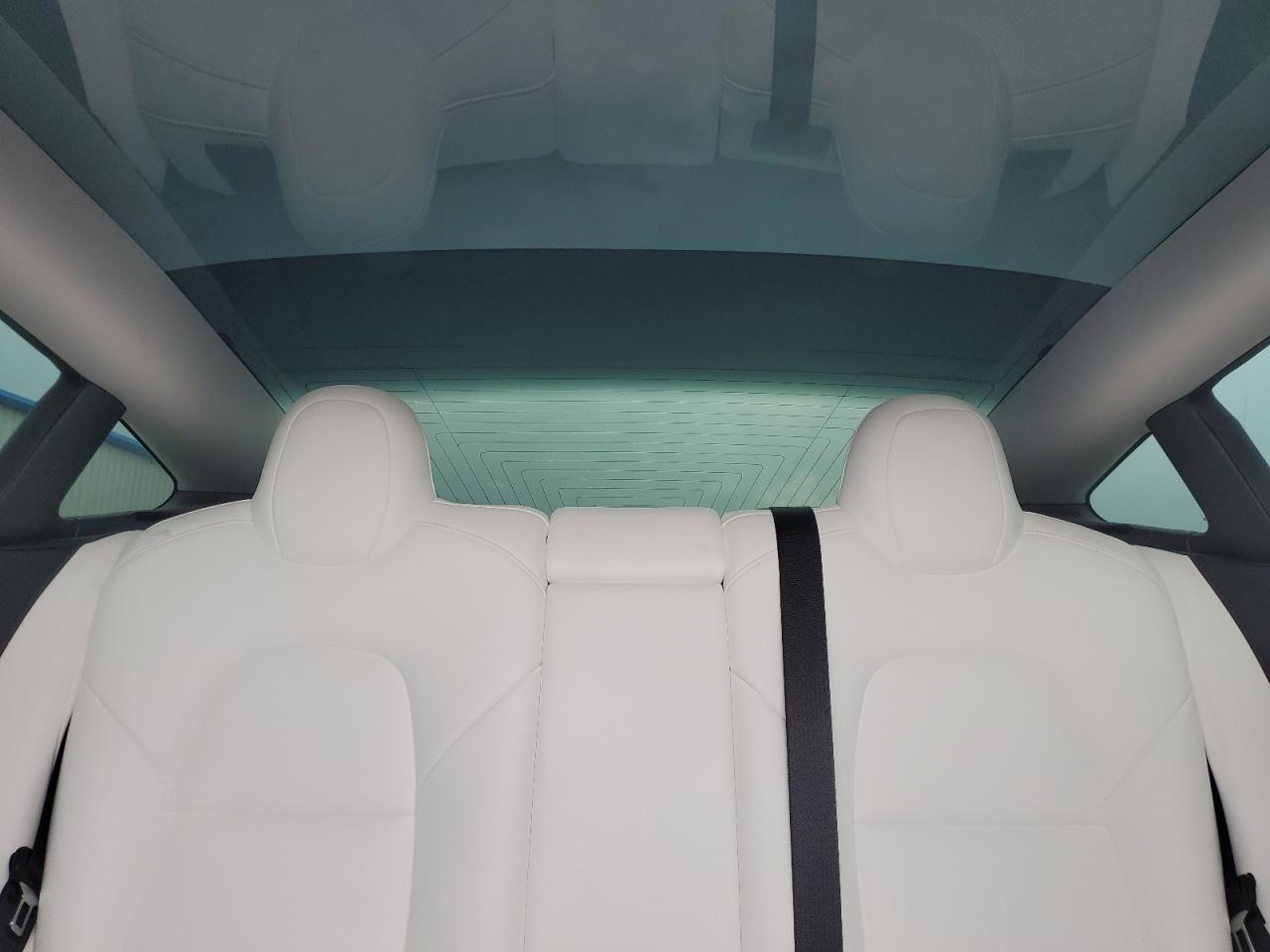 2019 Tesla Model 3 VIN: 5YJ3E1EB0KF391346 Lot: 66933804