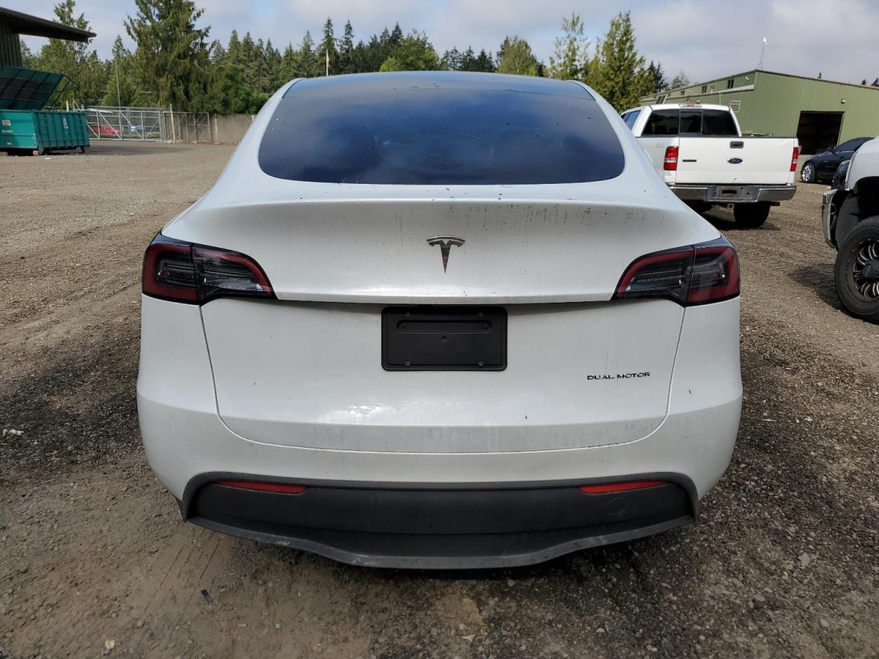 2023 Tesla Model Y VIN: 7SAYGDEE0PA136974 Lot: 66166254