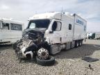 Reno, NV에서 판매 중인 2020 Freightliner Cascadia 116  - Front End
