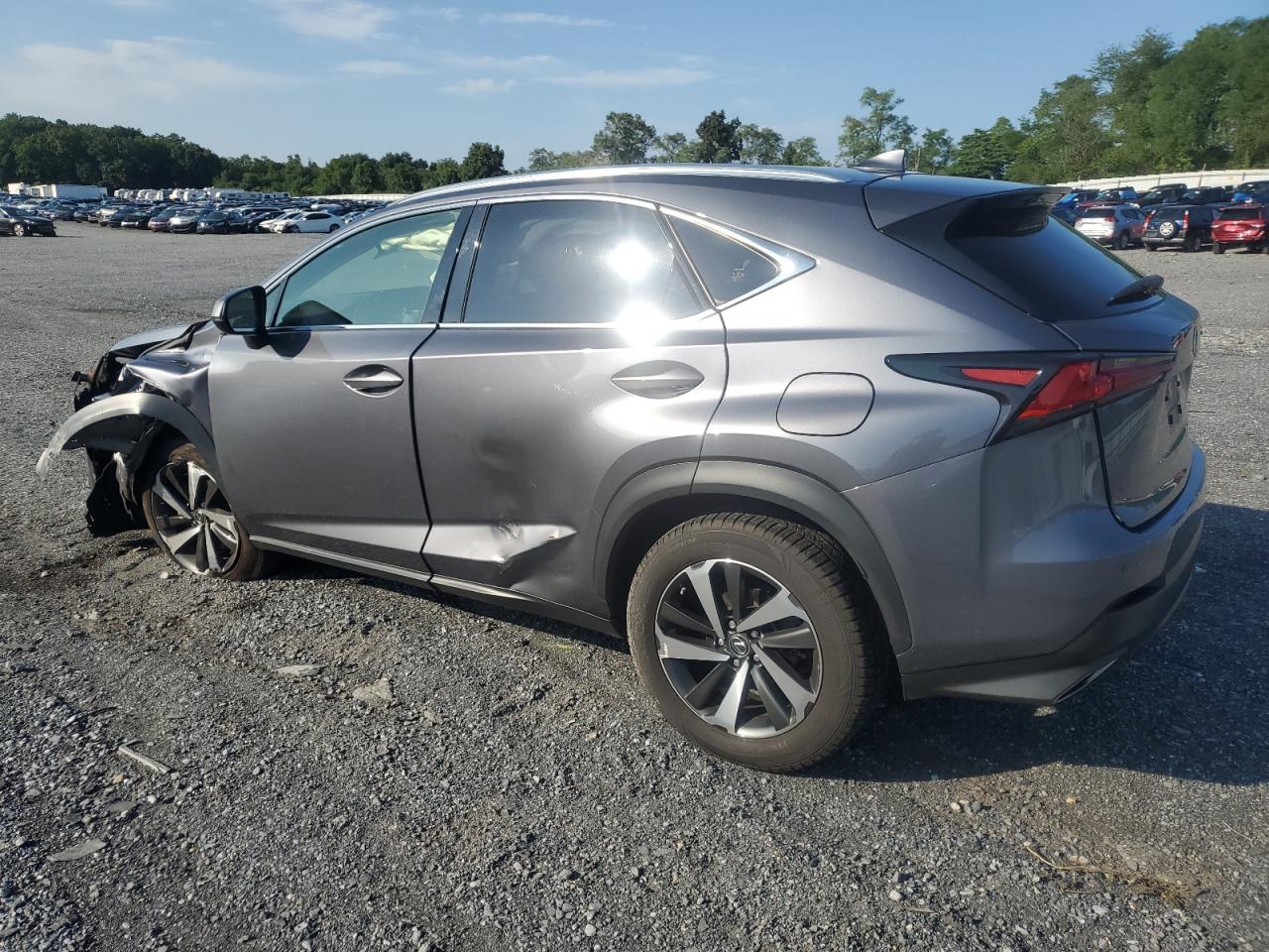 JTJGARDZ6L2236067 2020 LEXUS NX - Image 2