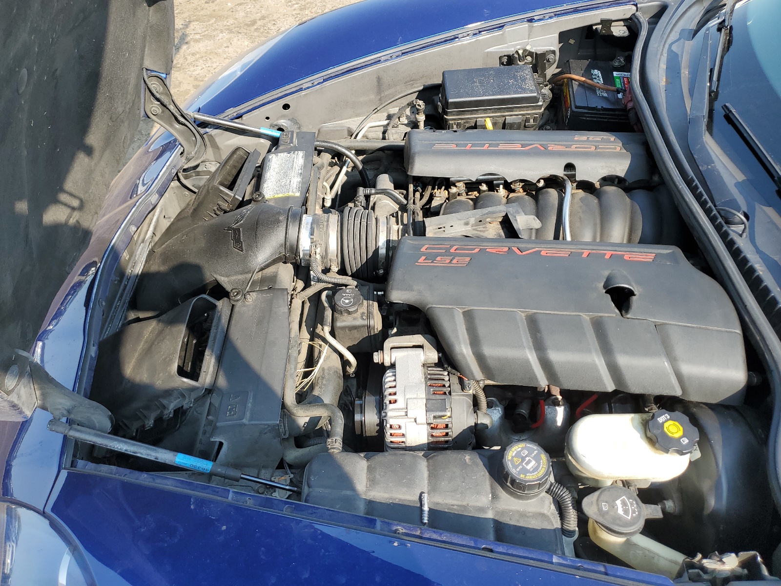 1G1YY36U865130667 2006 Chevrolet Corvette