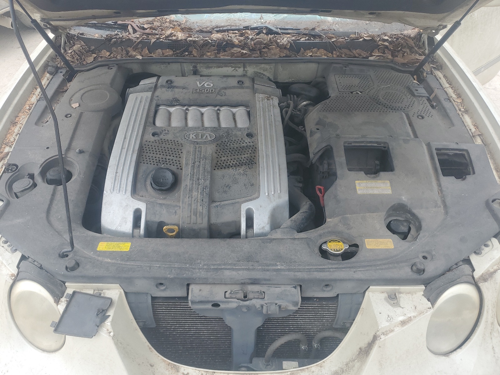 KNALD124755068343 2005 Kia Amanti