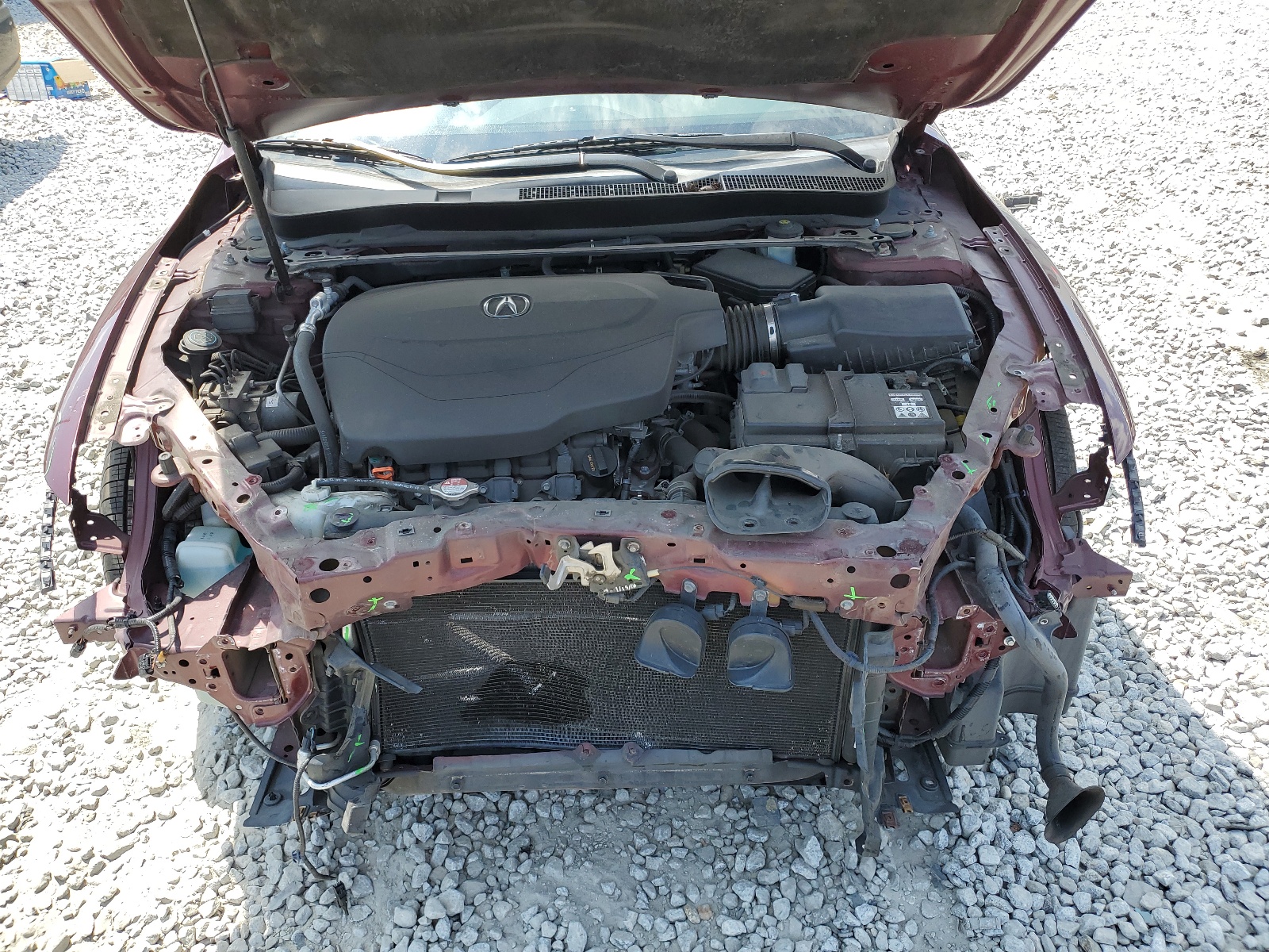 19UUB2F33GA005062 2016 Acura Tlx