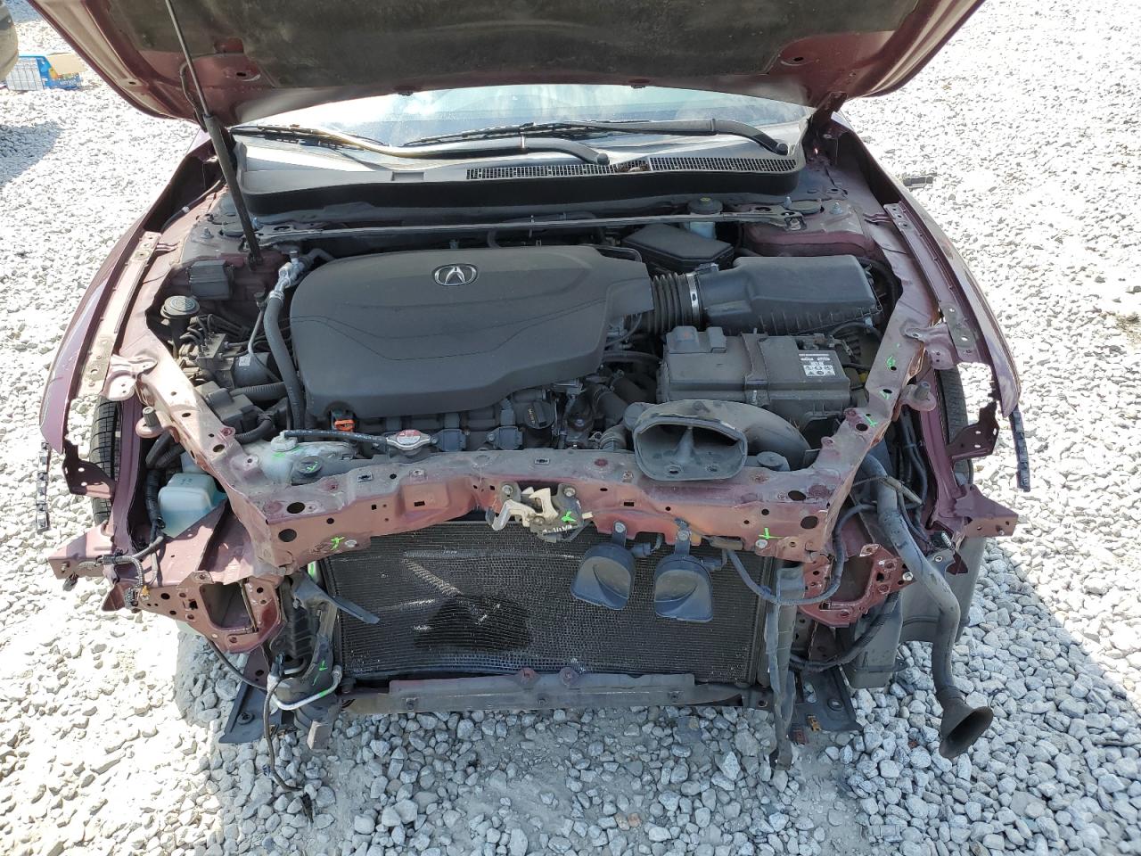 2016 Acura Tlx VIN: 19UUB2F33GA005062 Lot: 67023064