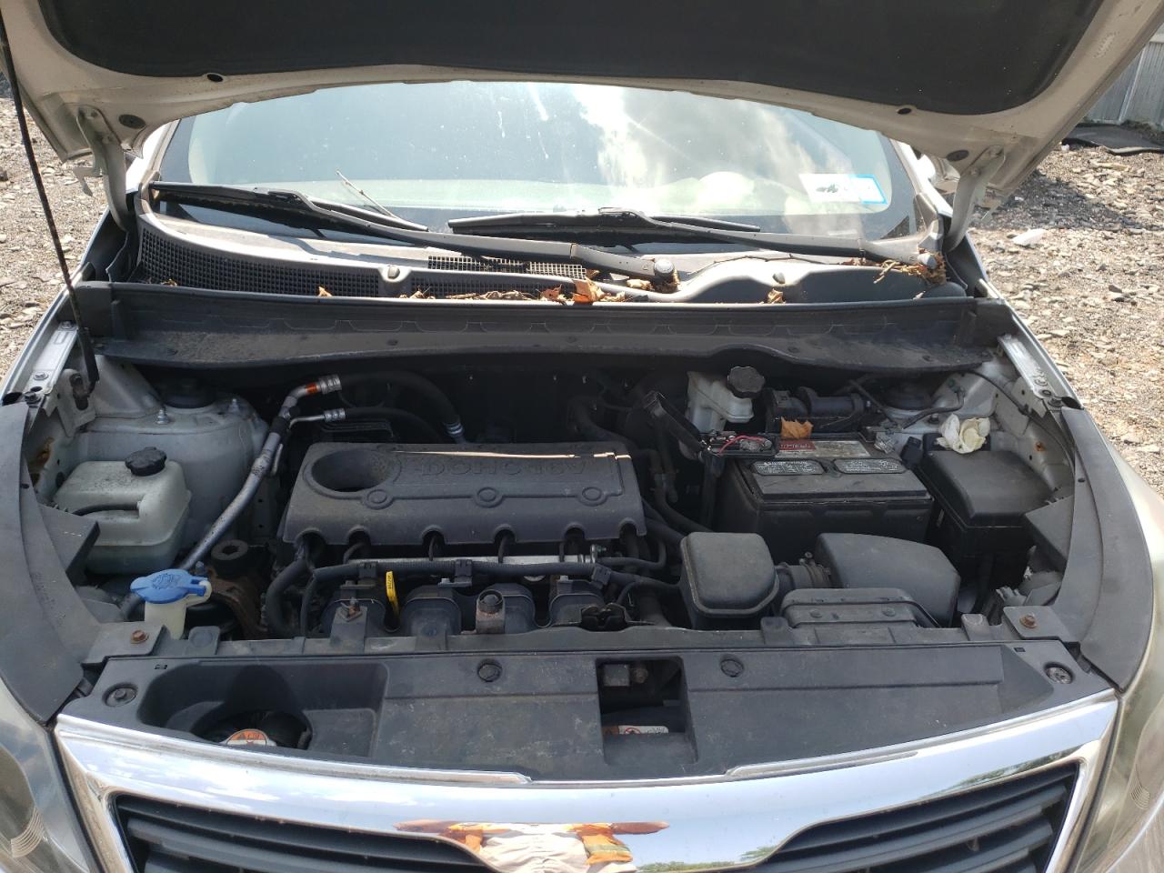 2013 Kia Sportage Base VIN: KNDPB3A27D7409717 Lot: 67449254