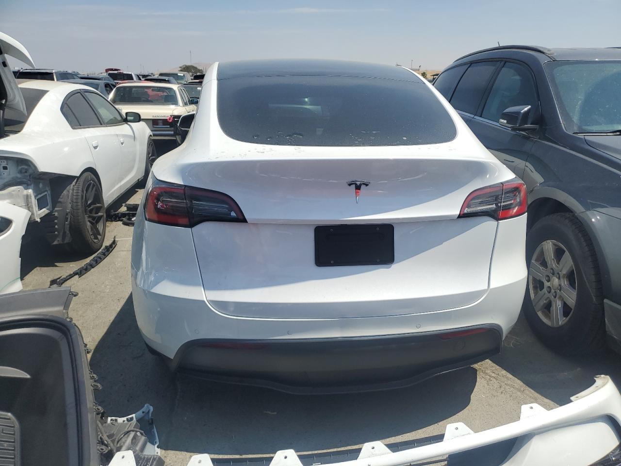 2021 Tesla Model Y VIN: 5YJYGDED8MF103627 Lot: 66105744