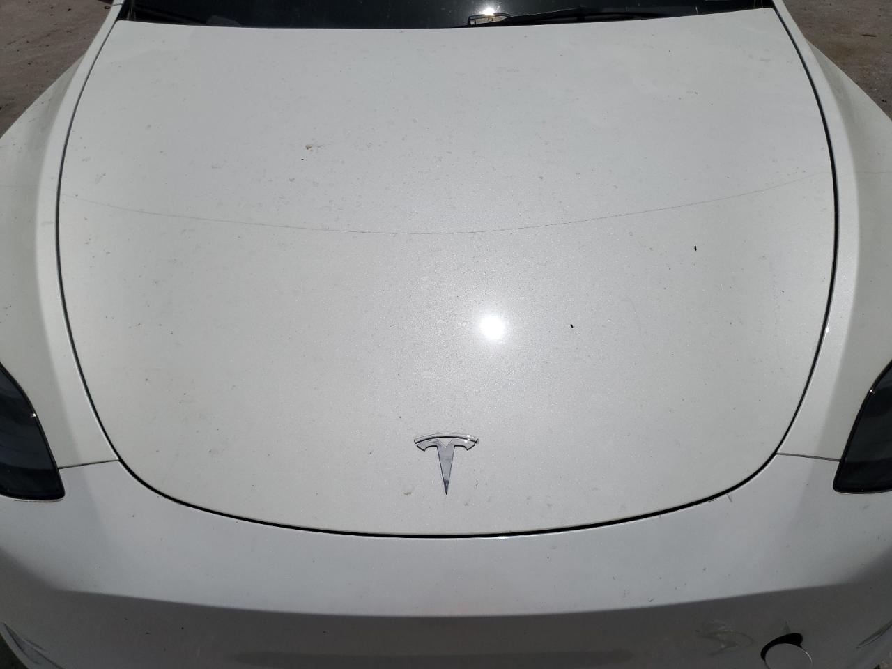 2023 Tesla Model Y VIN: 7SAYGDEF1PF830259 Lot: 65750924