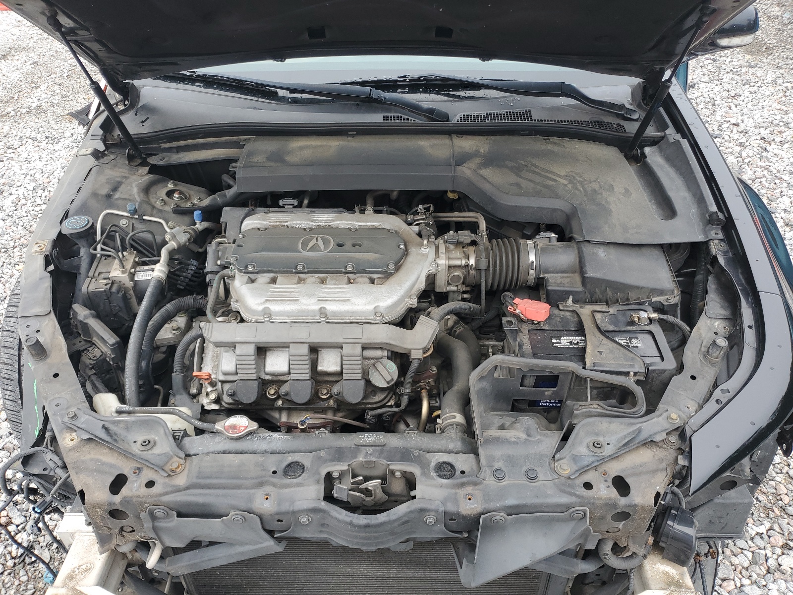 19UUA8F5XAA000083 2010 Acura Tl