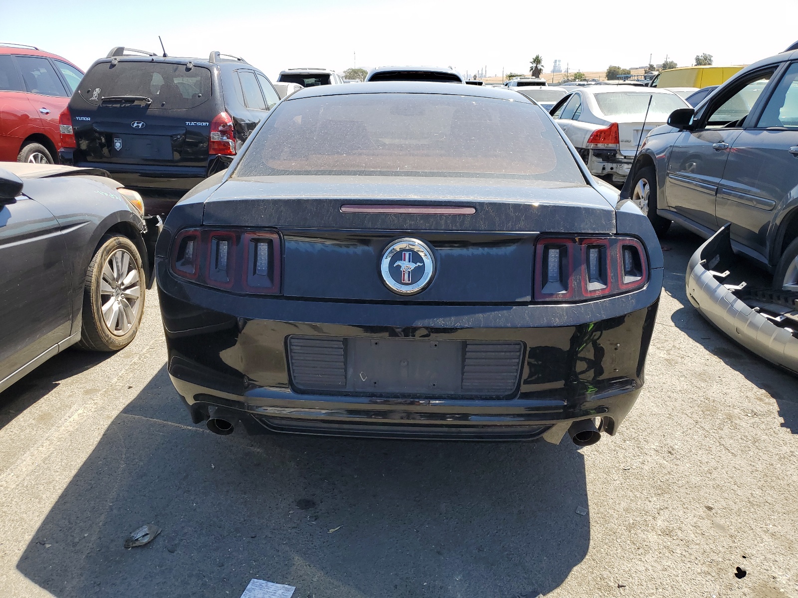 1ZVBP8AM3D5219612 2013 Ford Mustang