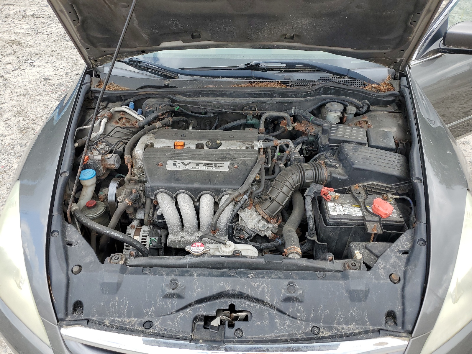 1HGCM55816A081804 2006 Honda Accord Ex