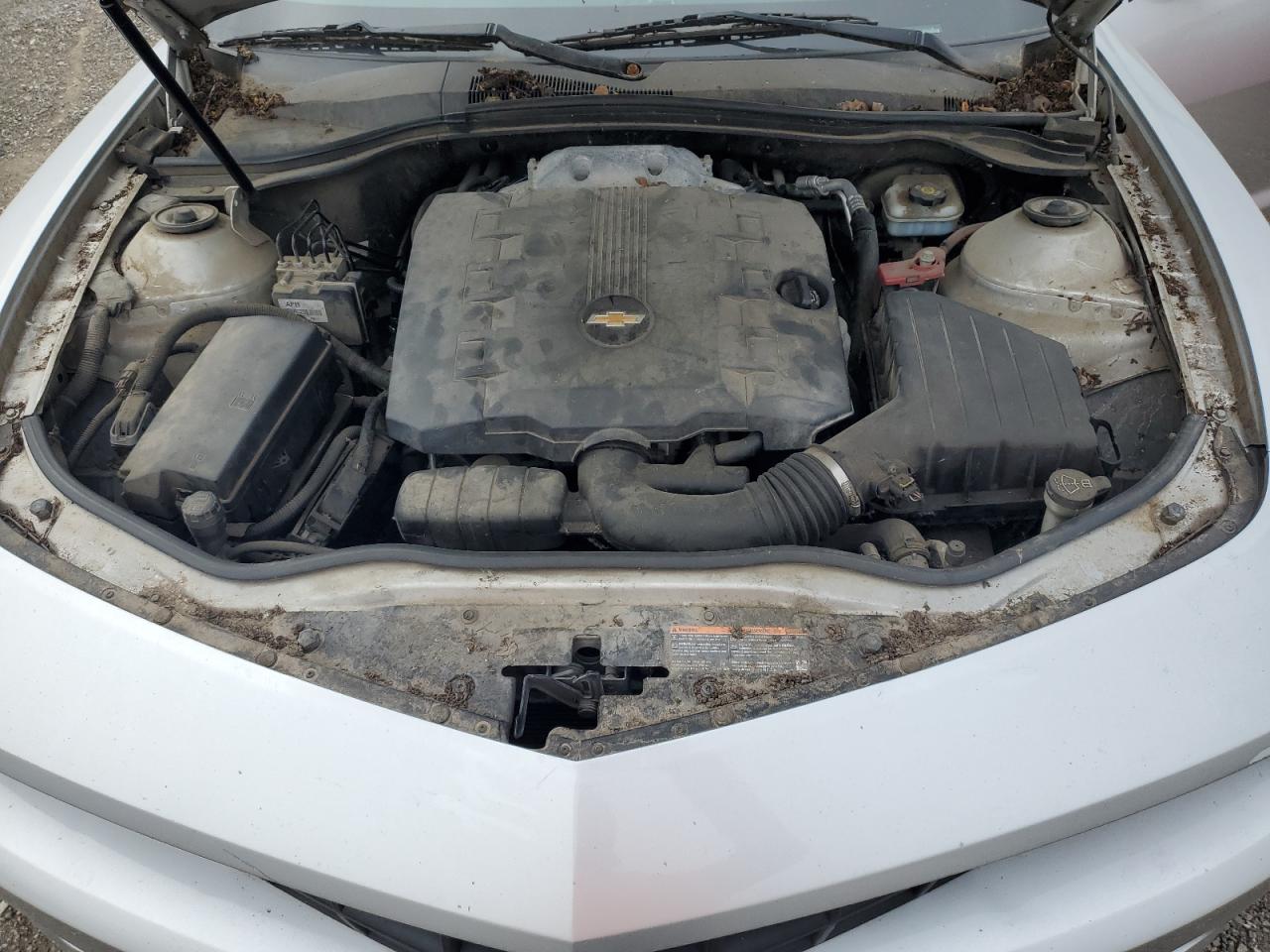 2010 Chevrolet Camaro Ls VIN: 2G1FA1EV2A9206874 Lot: 65830154