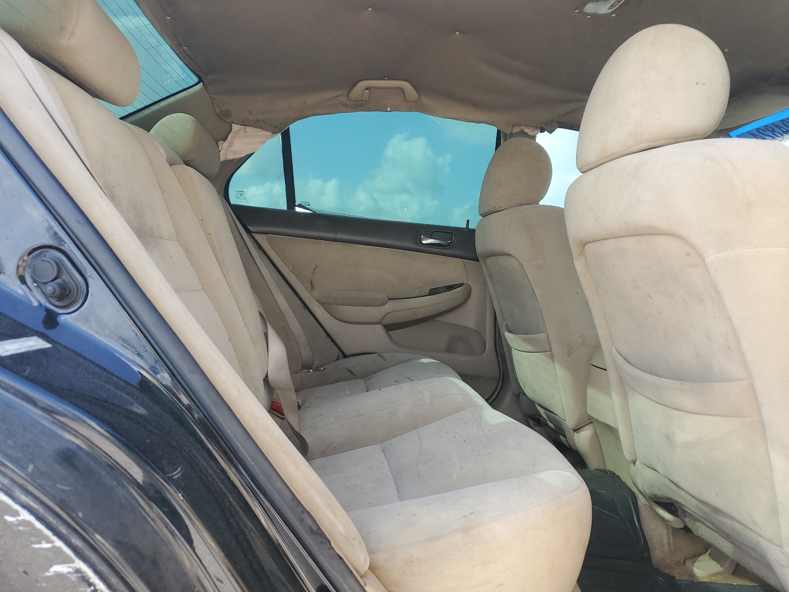 1HGCM56316A113170 2006 Honda Accord Se