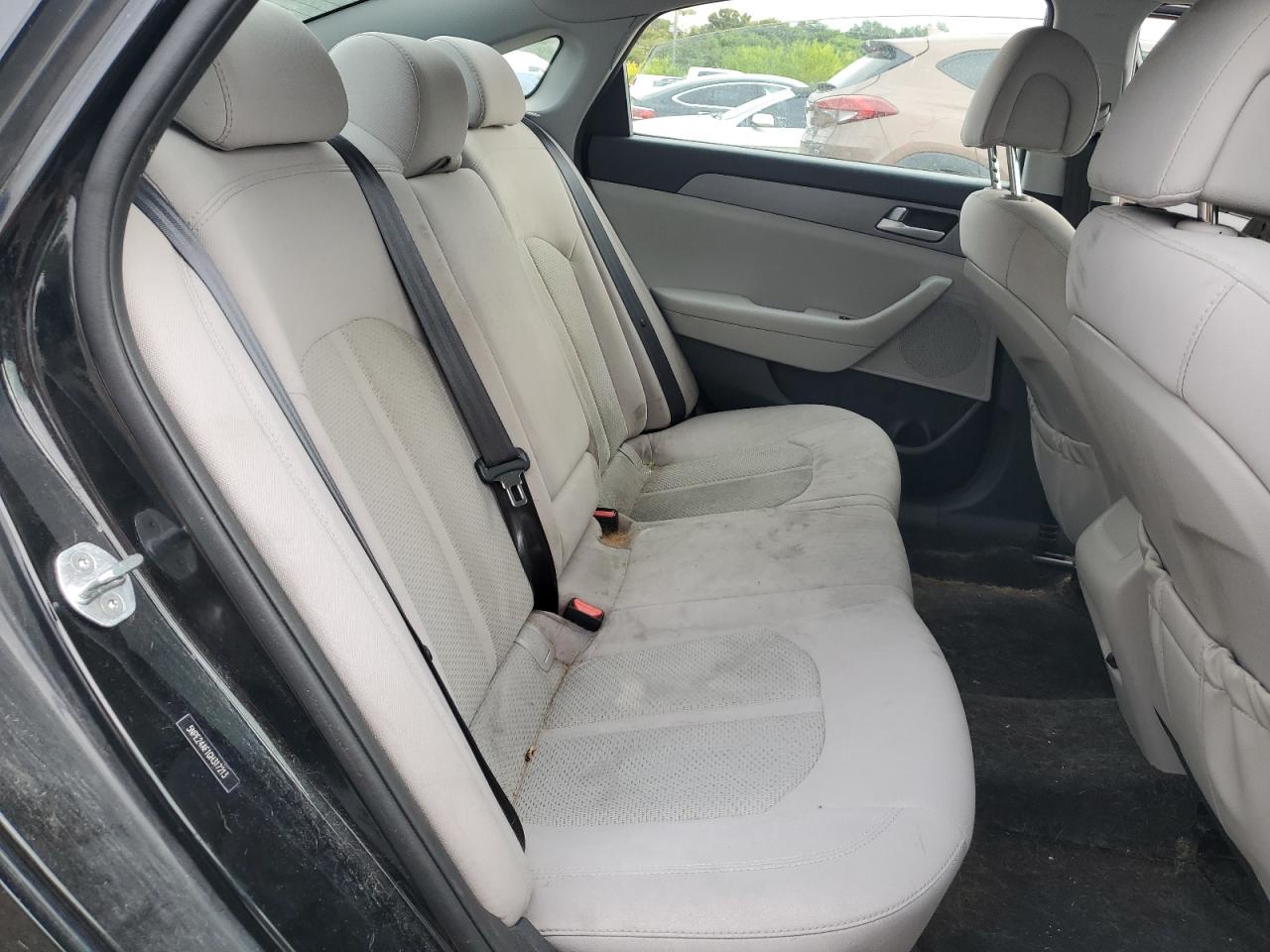 2016 Hyundai Sonata Se VIN: 5NPE24AF1GH317213 Lot: 66370824