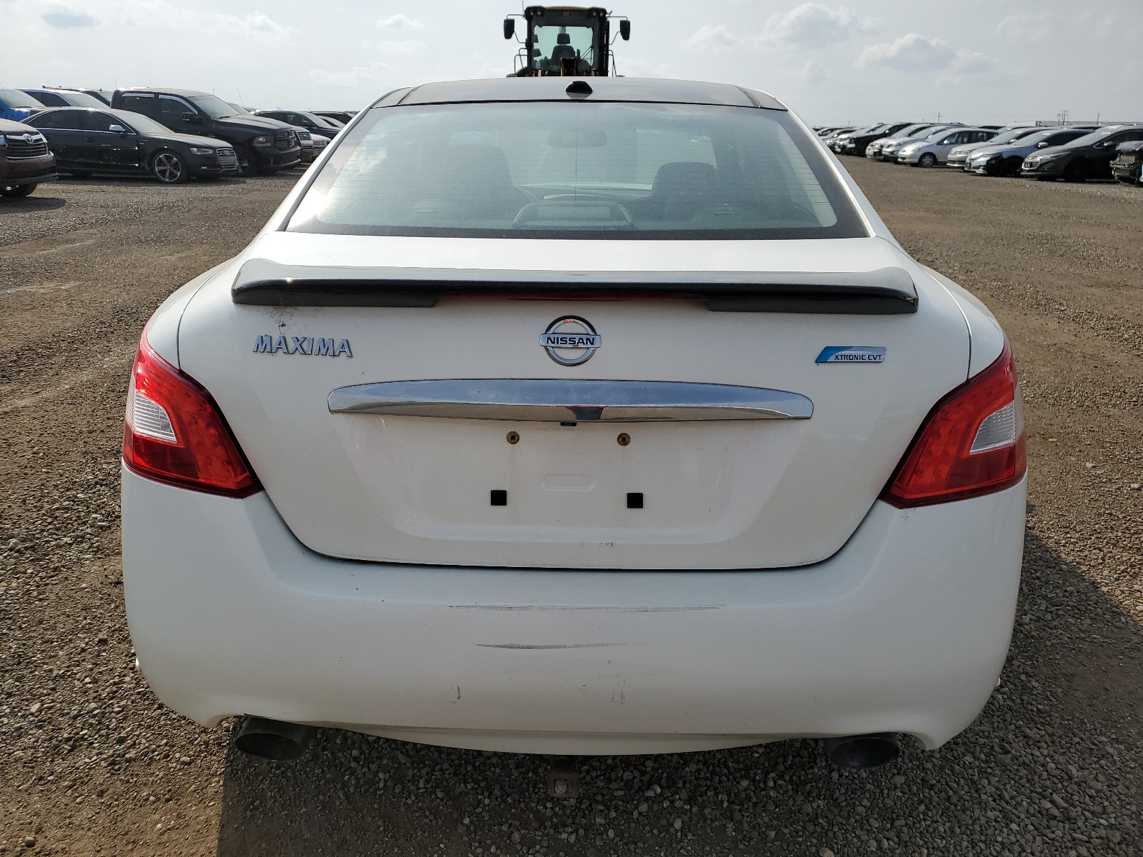 1N4AA5AP4AC865604 2010 Nissan Maxima S