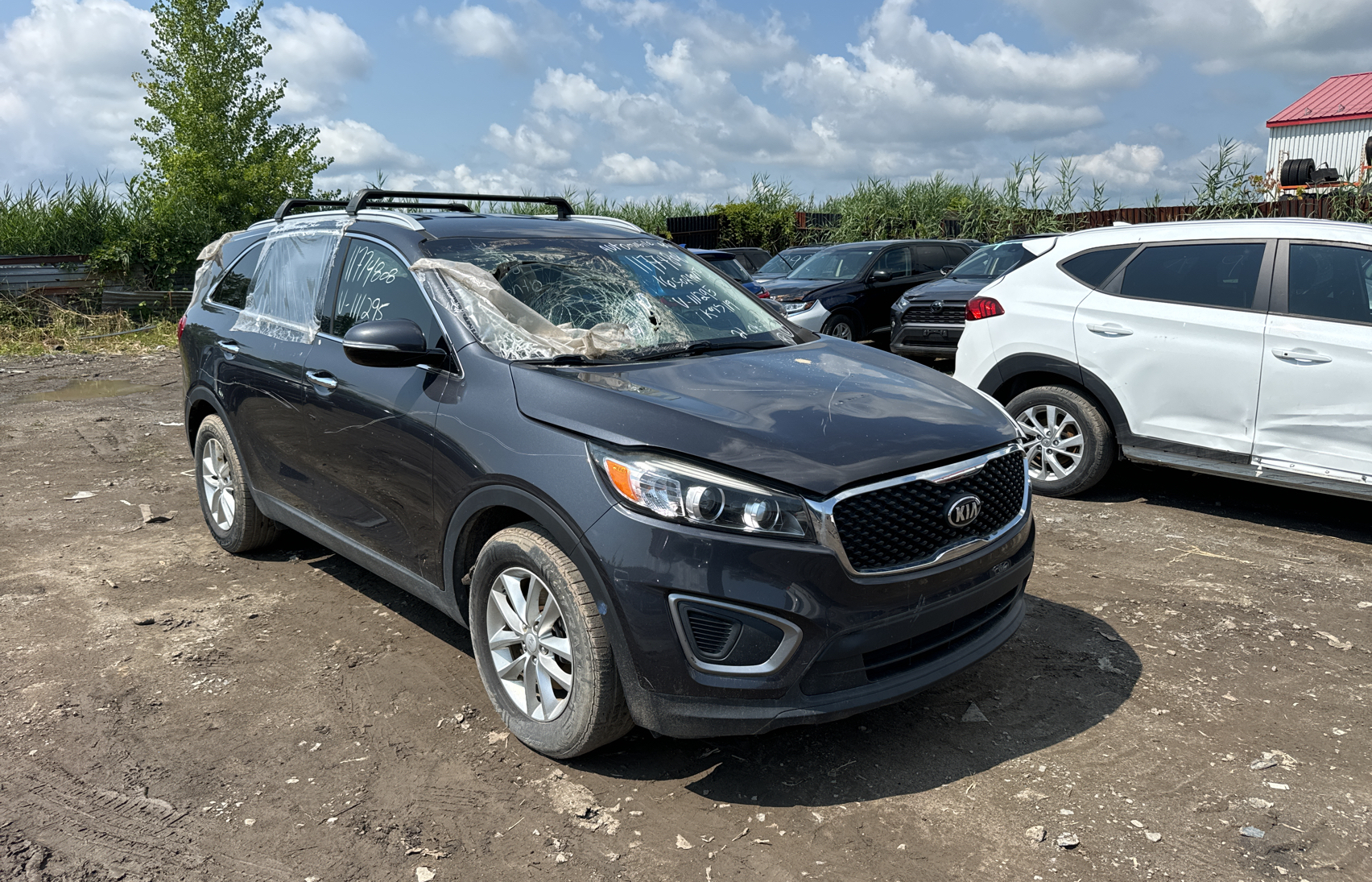 2016 Kia Sorento Lx vin: 5XYPG4A38GG111295