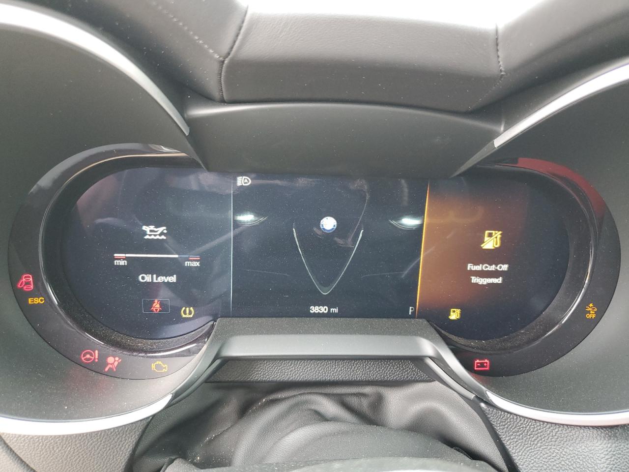 2024 Alfa Romeo Stelvio Quadrifoglio VIN: ZASPAKEV6R7D87015 Lot: 67825144