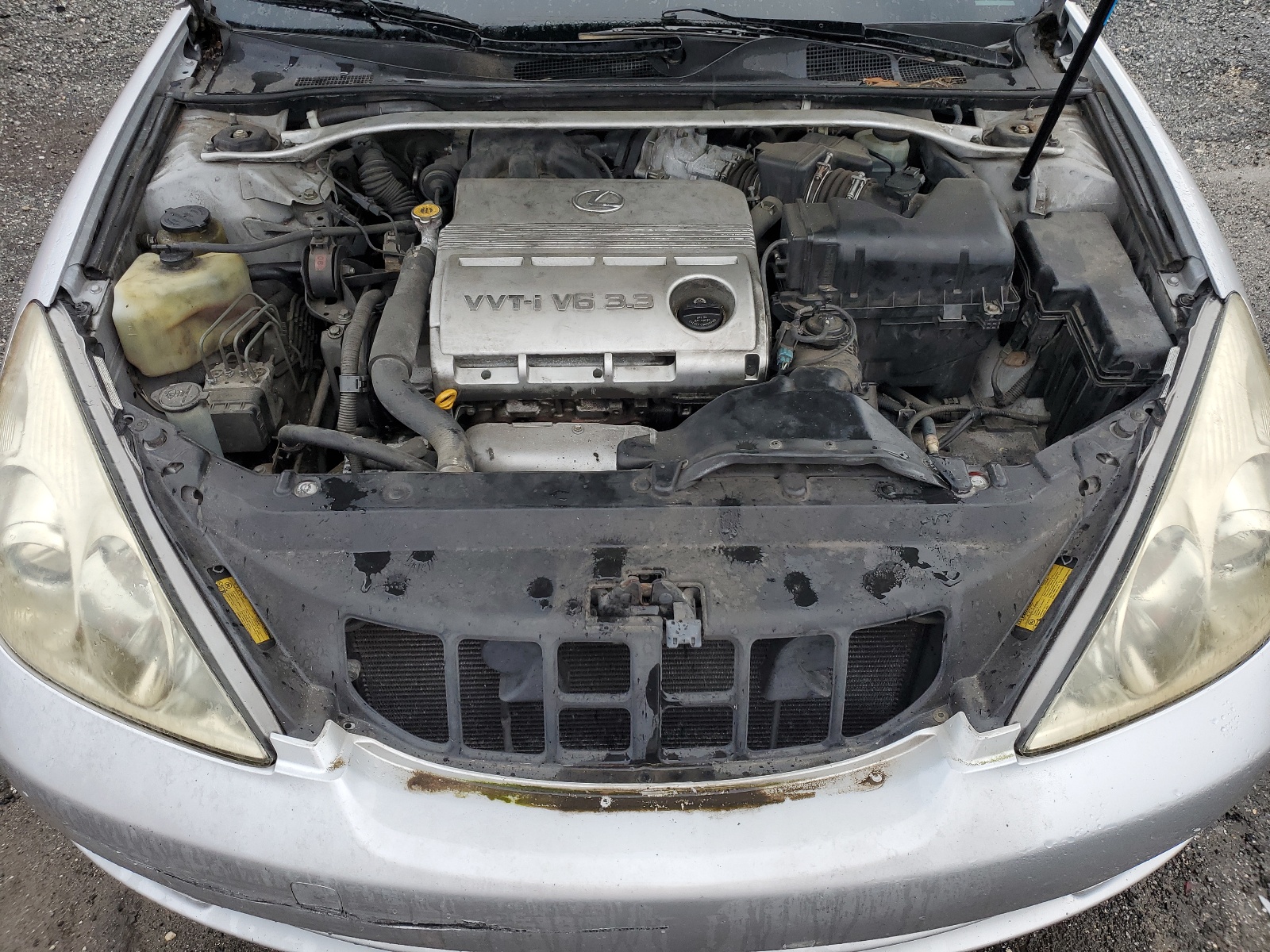 JTHBA30GX55105707 2005 Lexus Es 330