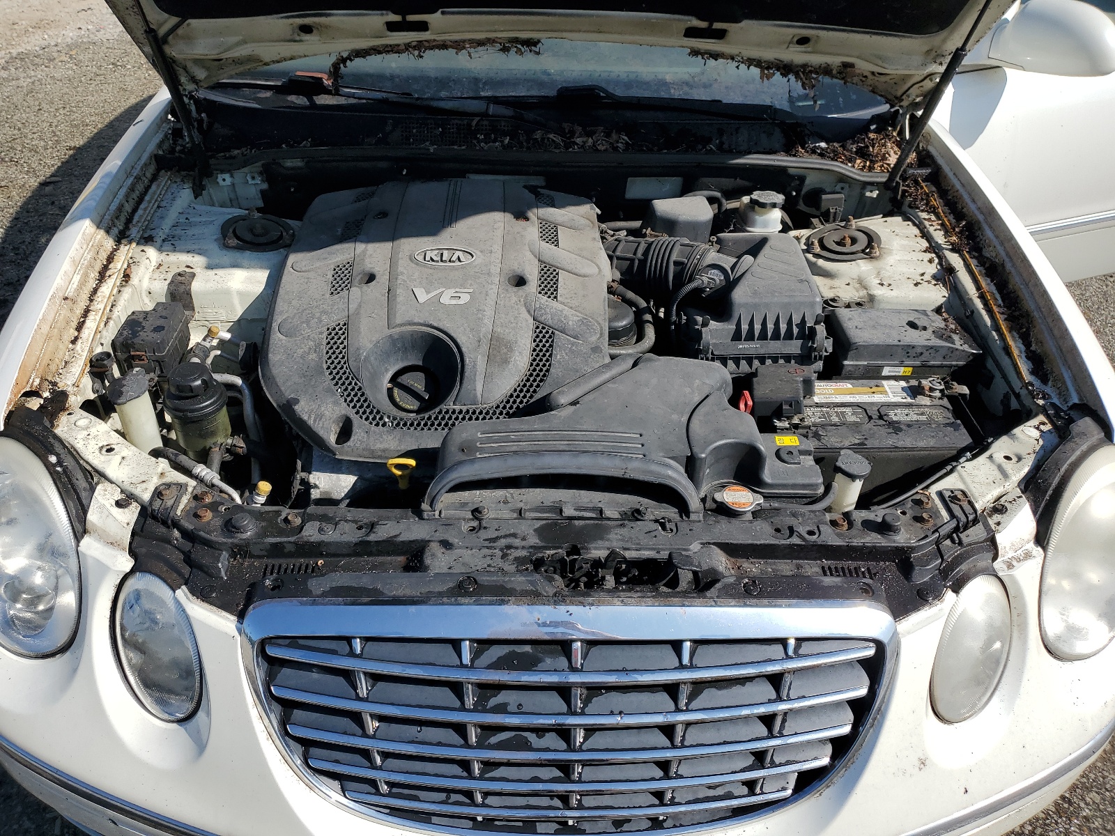 KNALD125785155804 2008 Kia Amanti